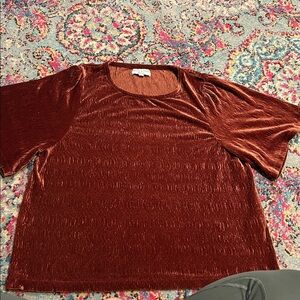 Madewell Texture & Thread Velvet Flutter Sleeve Top